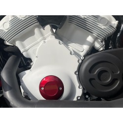 HARLEY-DAVIDSON VRSCDX Night Rod NLC EINZELANFERTIGUNG