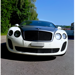 Bentley Continental Supersports – einzigartiges Enthusiasten-Fahrzeug