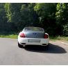 Bentley Continental Supersports – einzigartiges Enthusiasten-Fahrzeug