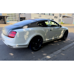 Bentley Continental Supersports – einzigartiges Enthusiasten-Fahrzeug