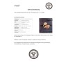 Exklusiver 18K-Gold Diamantring mit pinkem Tropfen-Diamant