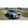 Bentley Continental Supersports – einzigartiges Enthusiasten-Fahrzeug