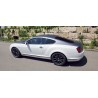 Bentley Continental Supersports – einzigartiges Enthusiasten-Fahrzeug