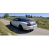 Bentley Continental Supersports – einzigartiges Enthusiasten-Fahrzeug