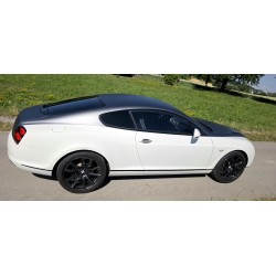 Bentley Continental Supersports – einzigartiges Enthusiasten-Fahrzeug