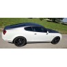 Bentley Continental Supersports – einzigartiges Enthusiasten-Fahrzeug