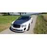 Bentley Continental Supersports – einzigartiges Enthusiasten-Fahrzeug