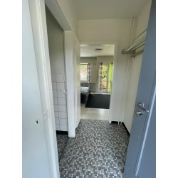 Schöne 1.5-Zimmer-Apartments in Dietikon zu vermieten – frisch renoviert, zentral gelegen, mit separatem Eingang