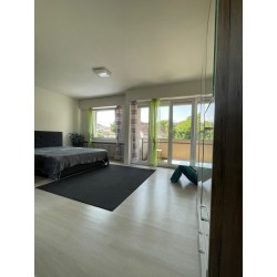 Schöne 1.5-Zimmer-Apartments in Dietikon zu vermieten – frisch renoviert, zentral gelegen, mit separatem Eingang