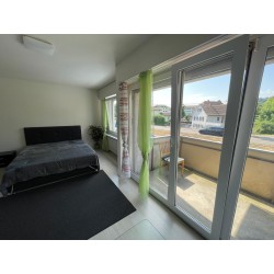 Schöne 1.5-Zimmer-Apartments in Dietikon zu vermieten – frisch renoviert, zentral gelegen, mit separatem Eingang