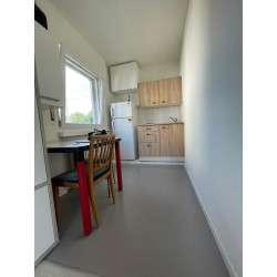 Schöne 1.5-Zimmer-Apartments in Dietikon zu vermieten – frisch renoviert, zentral gelegen, mit separatem Eingang
