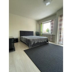 Schöne 1.5-Zimmer-Apartments in Dietikon zu vermieten – frisch renoviert, zentral gelegen, mit separatem Eingang