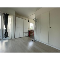 Schöne 1.5-Zimmer-Apartments in Dietikon zu vermieten – frisch renoviert, zentral gelegen, mit separatem Eingang