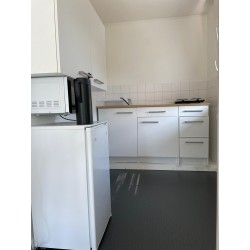 Schöne 1.5-Zimmer-Apartments in Dietikon zu vermieten – frisch renoviert, zentral gelegen, mit separatem Eingang