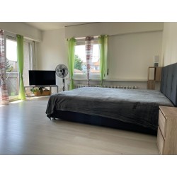 Schöne 1.5-Zimmer-Apartments in Dietikon zu vermieten – frisch renoviert, zentral gelegen, mit separatem Eingang