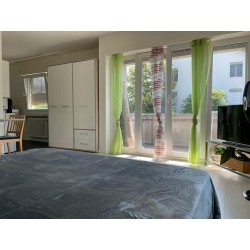 Schöne 1.5-Zimmer-Apartments in Dietikon zu vermieten – frisch renoviert, zentral gelegen, mit separatem Eingang