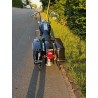 Harley-Davidson Road King – edler Custom-Bagger in Schwarz/Chrom