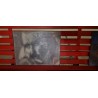 CLAY REGAZZONI – SIGNIERTES WACHSBILD / LIMITIERTE AUFLAGE 2/8